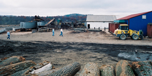 Log Yard